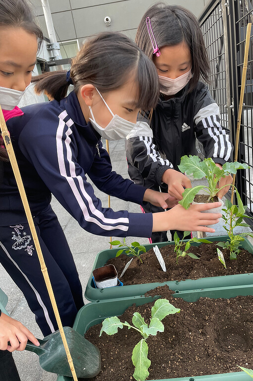 札幌の学習塾「現役予備校TANJI」イベント、プランター菜園の写真2
